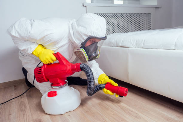 Best Affordable Pest Control Services  in Salida, CA