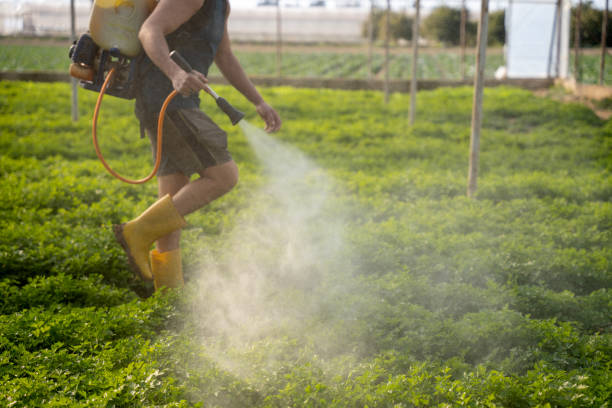 Best Pest Control Near Me  in Salida, CA