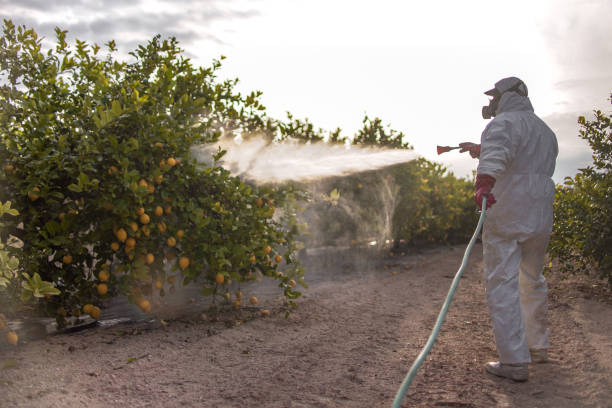 Best Exterminator Services  in Salida, CA